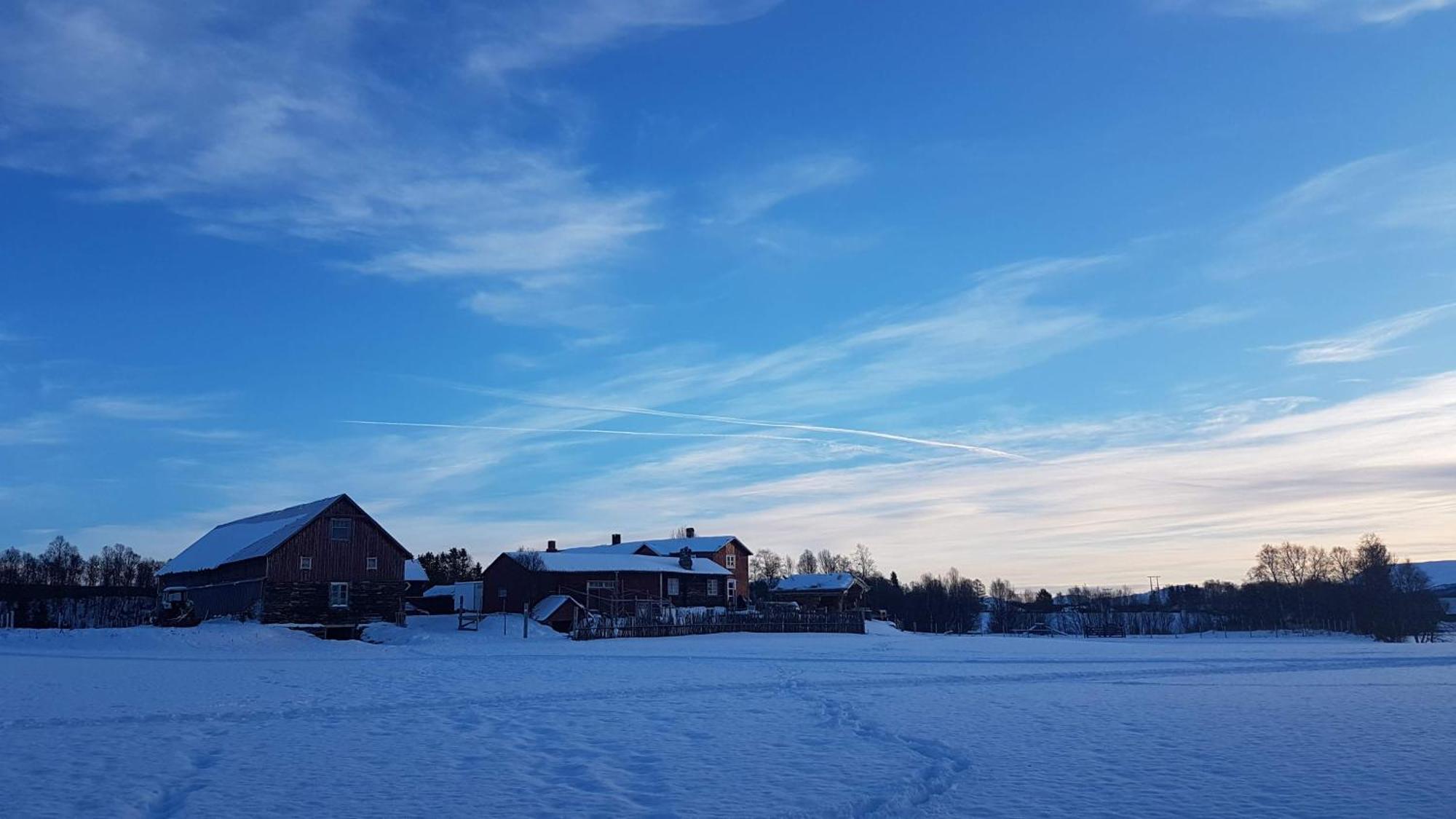 Escapade Norvegienne Leilighet Tolga Eksteriør bilde