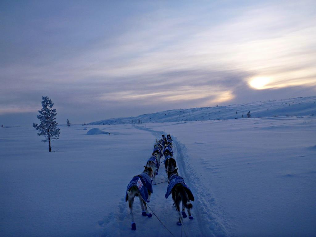 Escapade Norvegienne Leilighet Tolga Eksteriør bilde